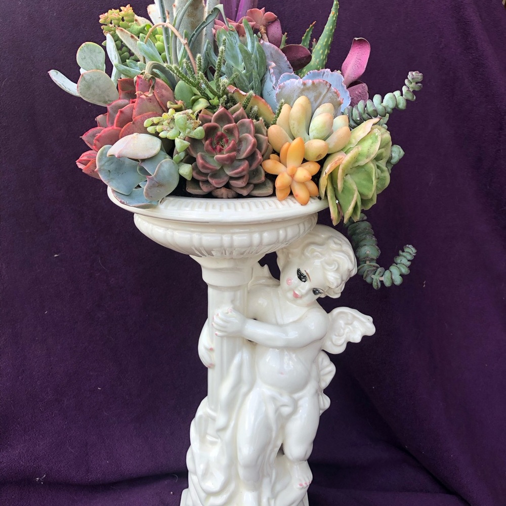 Ceramic Cherub Planter with Colorful Succulents